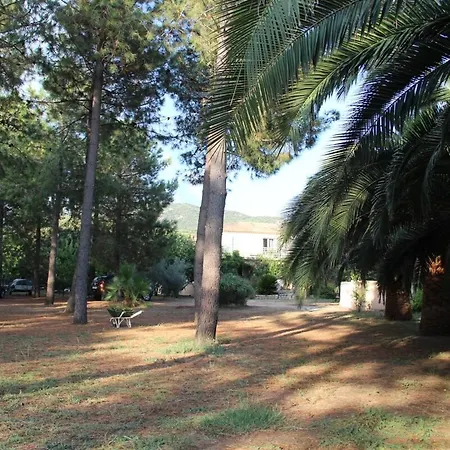 U Pinu 3 Appartement Olmeto (Corsica)