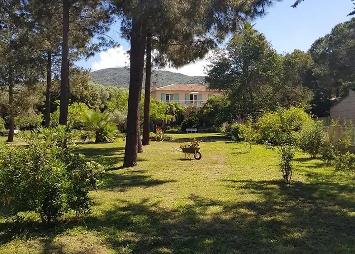 U Pinu 3 * Olmeto (Corsica)