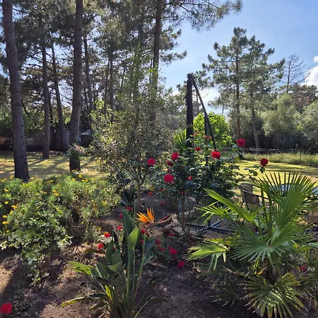 아파트 U Pinu 3 *