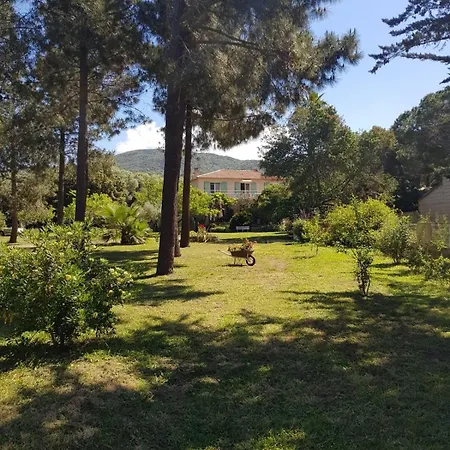 U Pinu 3 * Olmeto (Corsica)