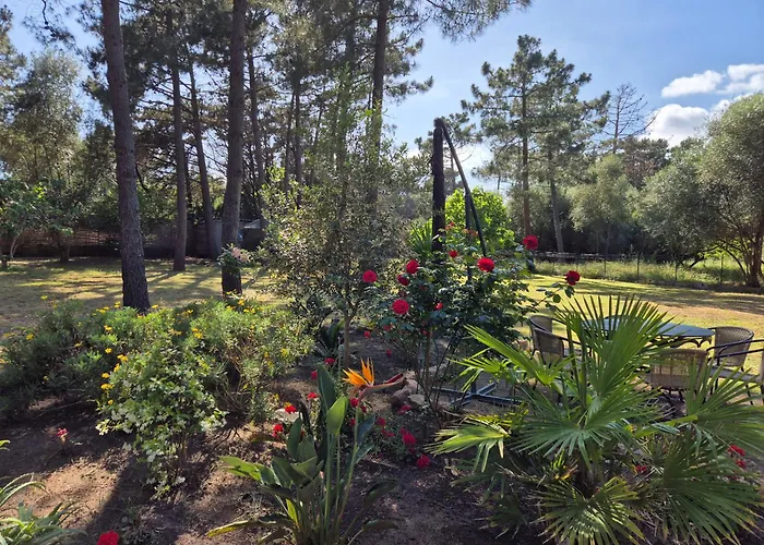 Appartamento U Pinu 3 *