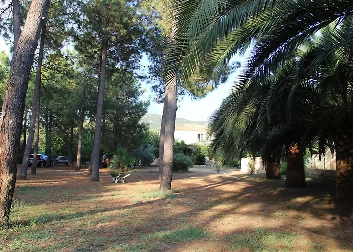 U Pinu 3 Appartamento Olmeto (Corsica)