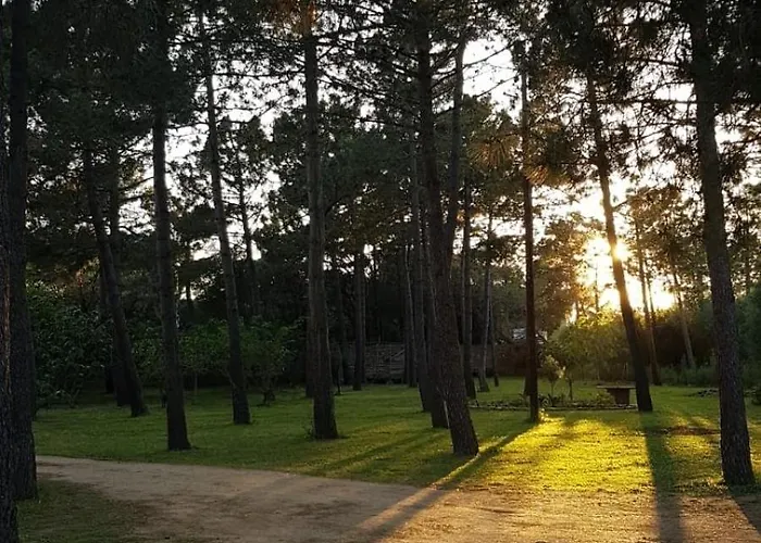 U Pinu 3 * Olmeto (Corsica)